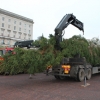 Stormont Tree 2013:The 15m tree dwarfs the crane truck