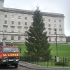 New Christmas tree installed in Stormont after the December storms