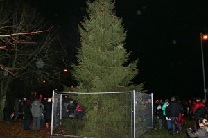 Ballyrobert village residents attending the Christmas Lights Switching on event 2013 with tree provided by M.Large