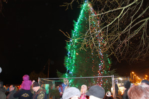 Lights go on the Ballyrobert Christmas Tree at the Christmas Lights switching on ceremony 2013