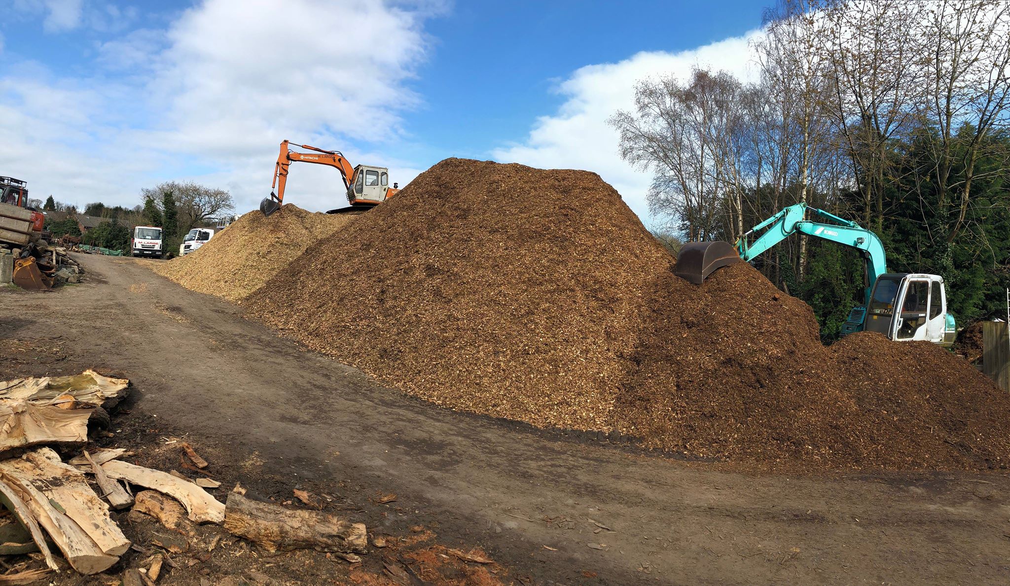 Wood chip mulch for sale