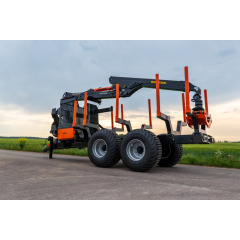 BMFM-17T2