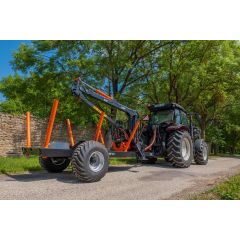 BMFM-6T2