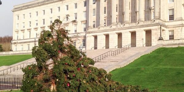 Stormont-tree-blown-over-by-high-winds-posted-on-twitter
